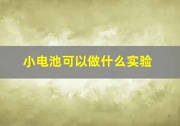 小电池可以做什么实验