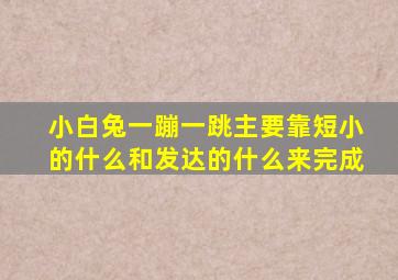 小白兔一蹦一跳主要靠短小的什么和发达的什么来完成