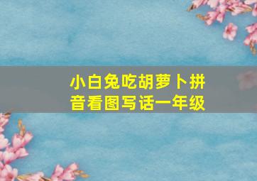 小白兔吃胡萝卜拼音看图写话一年级