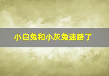 小白兔和小灰兔迷路了