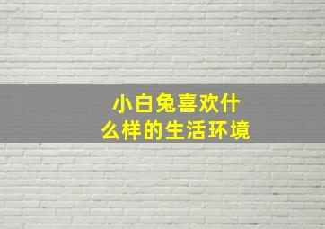 小白兔喜欢什么样的生活环境