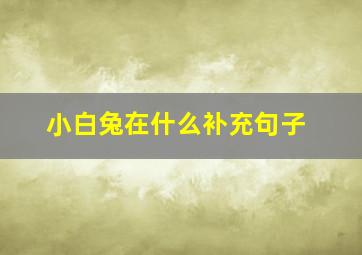 小白兔在什么补充句子