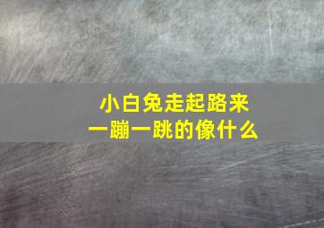 小白兔走起路来一蹦一跳的像什么