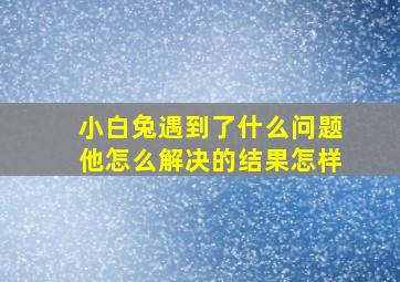 小白兔遇到了什么问题他怎么解决的结果怎样