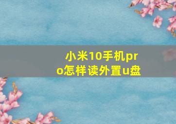 小米10手机pro怎样读外置u盘