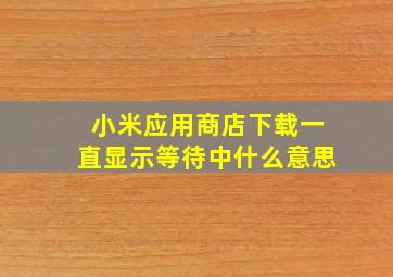 小米应用商店下载一直显示等待中什么意思