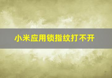 小米应用锁指纹打不开