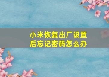 小米恢复出厂设置后忘记密码怎么办