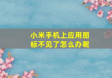 小米手机上应用图标不见了怎么办呢