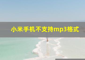 小米手机不支持mp3格式