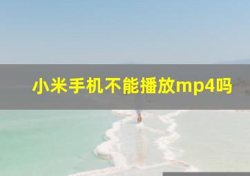 小米手机不能播放mp4吗