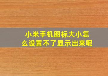 小米手机图标大小怎么设置不了显示出来呢