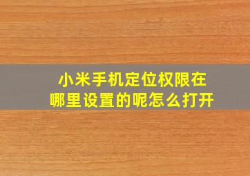 小米手机定位权限在哪里设置的呢怎么打开