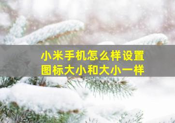 小米手机怎么样设置图标大小和大小一样