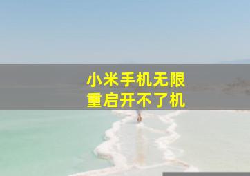 小米手机无限重启开不了机