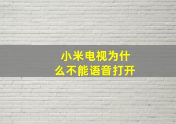 小米电视为什么不能语音打开