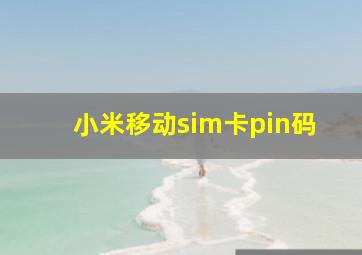 小米移动sim卡pin码