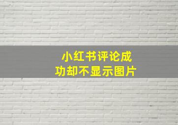 小红书评论成功却不显示图片