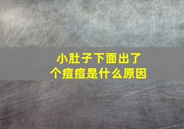 小肚子下面出了个痘痘是什么原因