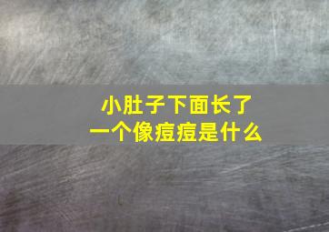 小肚子下面长了一个像痘痘是什么