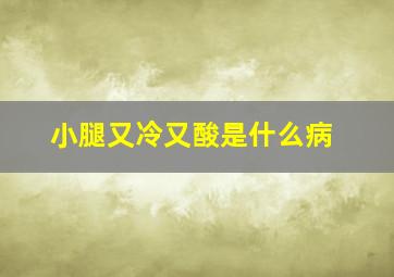 小腿又冷又酸是什么病