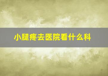 小腿疼去医院看什么科