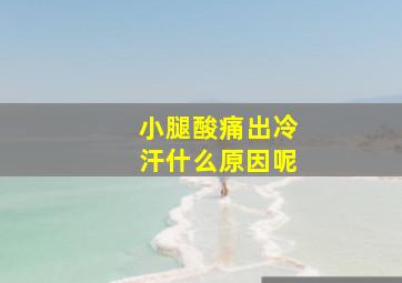 小腿酸痛出冷汗什么原因呢