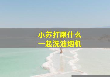 小苏打跟什么一起洗油烟机