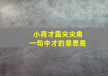 小荷才露尖尖角一句中才的意思是