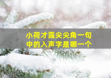 小荷才露尖尖角一句中的入声字是哪一个