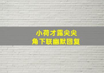 小荷才露尖尖角下联幽默回复