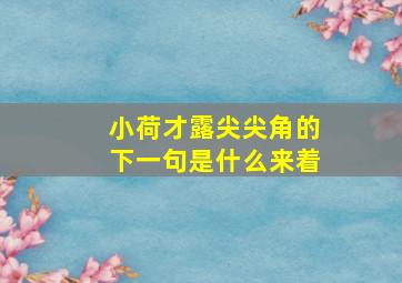 小荷才露尖尖角的下一句是什么来着