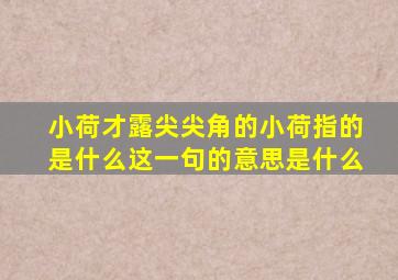 小荷才露尖尖角的小荷指的是什么这一句的意思是什么