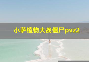 小萨植物大战僵尸pvz2