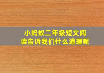 小蚂蚁二年级短文阅读告诉我们什么道理呢