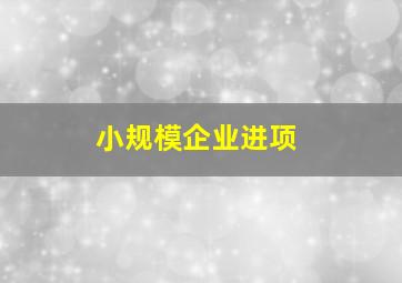 小规模企业进项