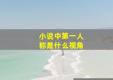 小说中第一人称是什么视角