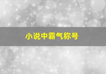 小说中霸气称号