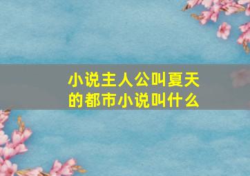 小说主人公叫夏天的都市小说叫什么