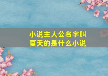 小说主人公名字叫夏天的是什么小说