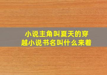 小说主角叫夏天的穿越小说书名叫什么来着