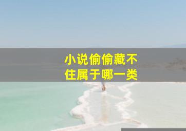 小说偷偷藏不住属于哪一类