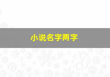 小说名字两字