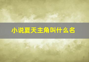 小说夏天主角叫什么名