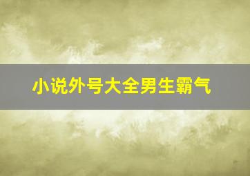 小说外号大全男生霸气