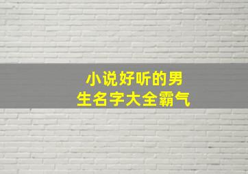 小说好听的男生名字大全霸气