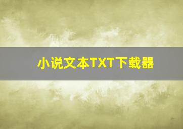 小说文本TXT下载器