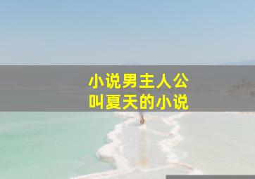 小说男主人公叫夏天的小说