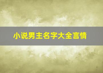 小说男主名字大全言情