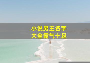 小说男主名字大全霸气十足